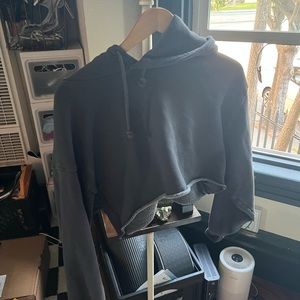 Aritzia tna crop hoodie